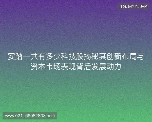 安踏一共有多少科技股揭秘其创新布局与资本市场表现背后发展动力
